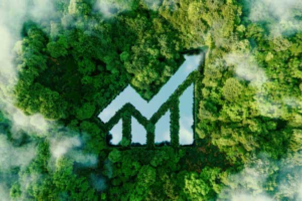 张津镭：非农延期公布，黄金维持高空低多